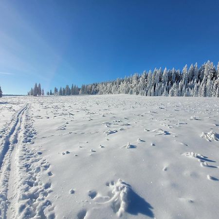 Apartman Spa Sumava Zdíkov Zewnętrze zdjęcie